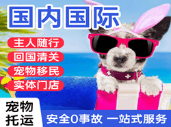 九江庐山机场物流国际宠物托运 【国
